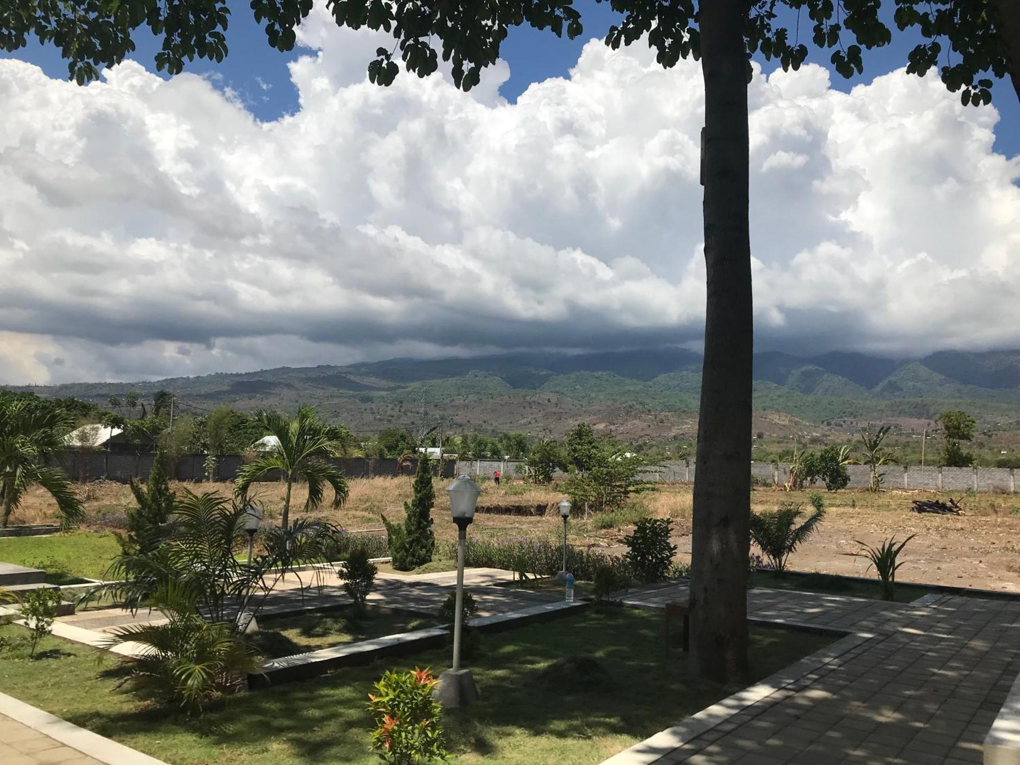 Pohon Purba Resort & Restaurant Labuhan Pandan Extérieur photo