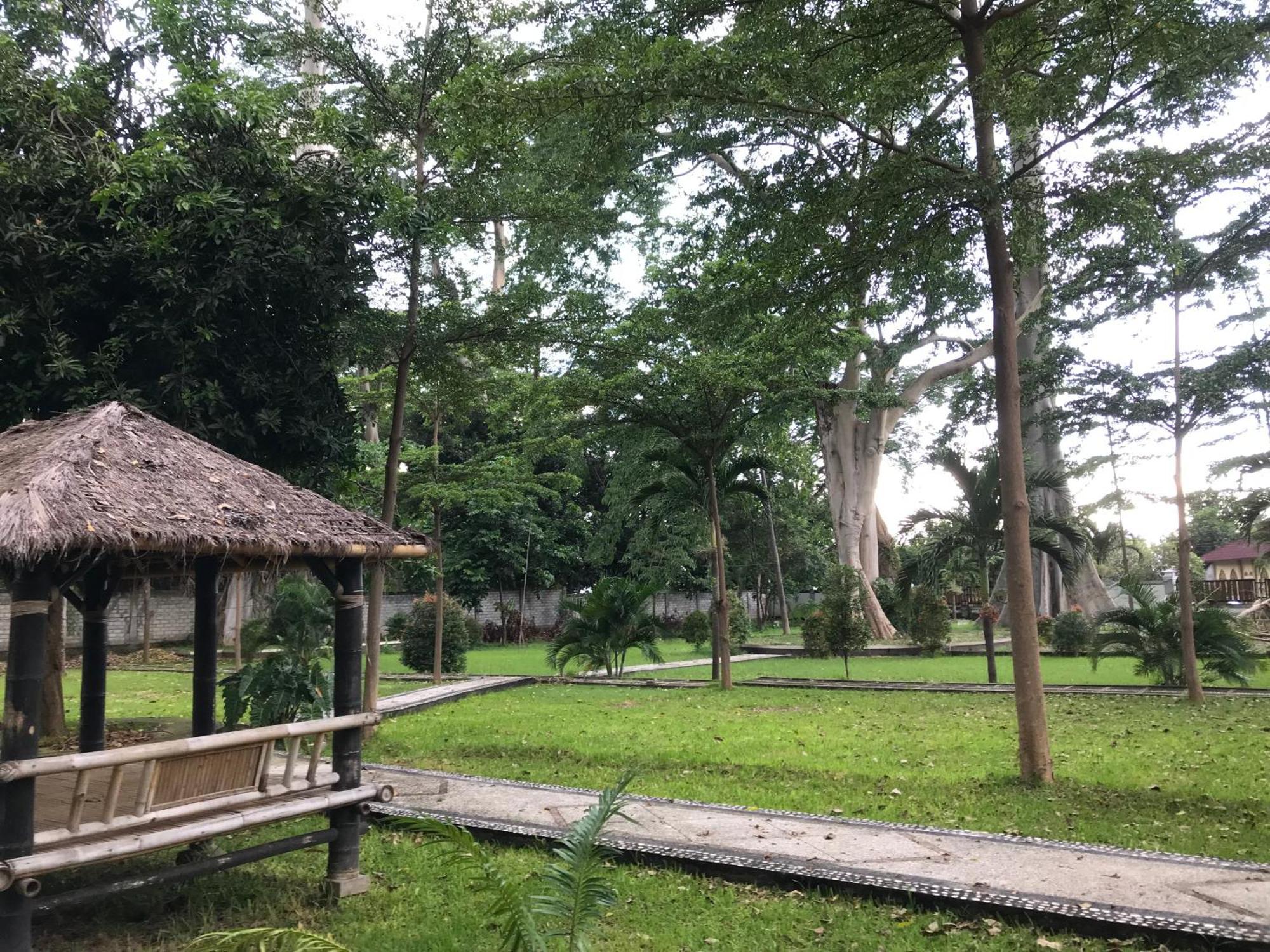Pohon Purba Resort & Restaurant Labuhan Pandan Extérieur photo