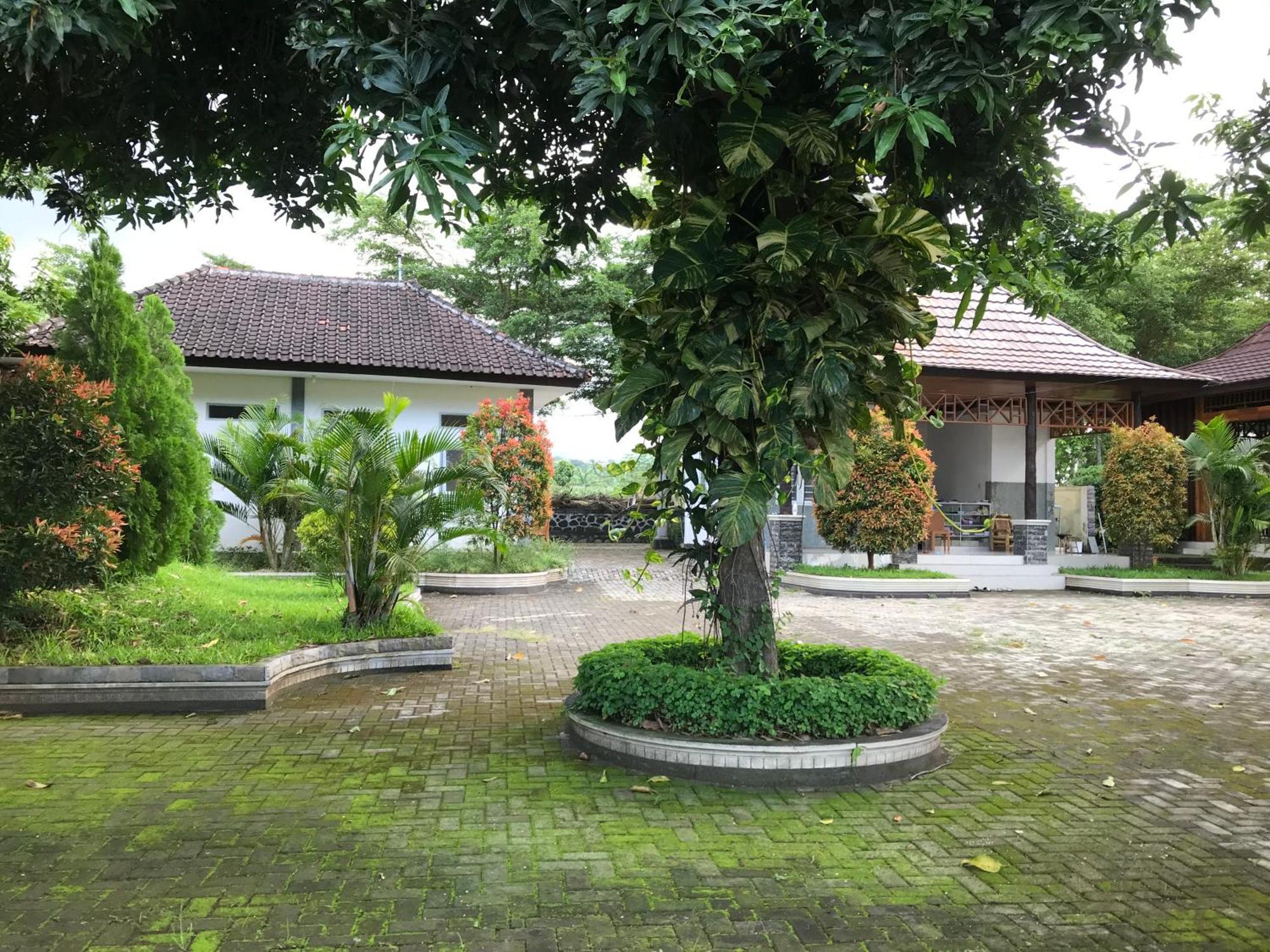 Pohon Purba Resort & Restaurant Labuhan Pandan Extérieur photo